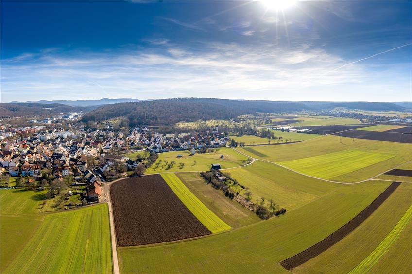 Die SPD plädiert dafür, den Saiben zwischen Derendingen und Weilheim zu bebauen, um den Wohnungsmarkt zu entlasten. Bild: Ulrich Metz
