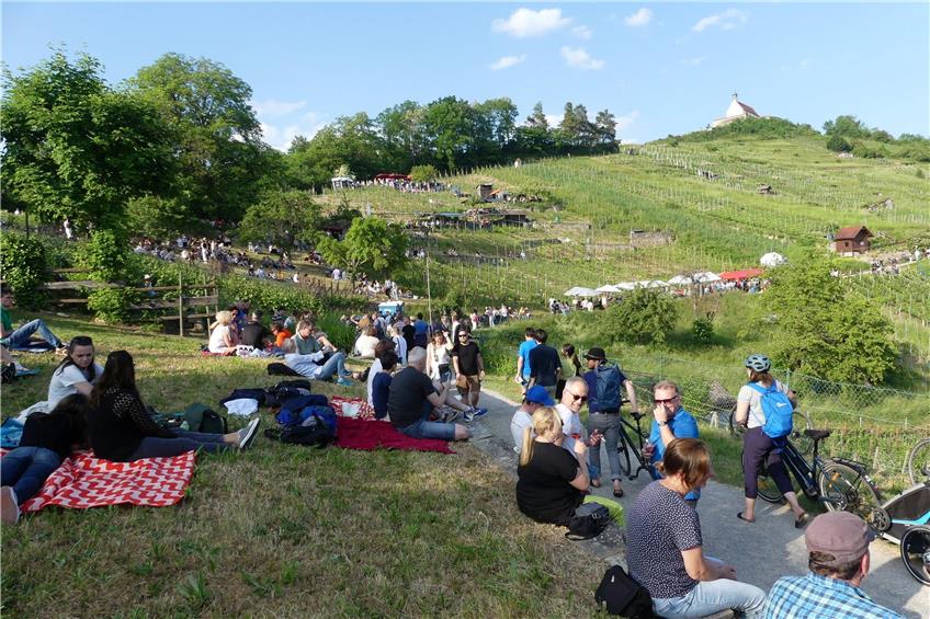Die Schattenplätze waren beim Wurmlinger Weinbergfest heiß begehrt. Bild: Werner Bauknecht