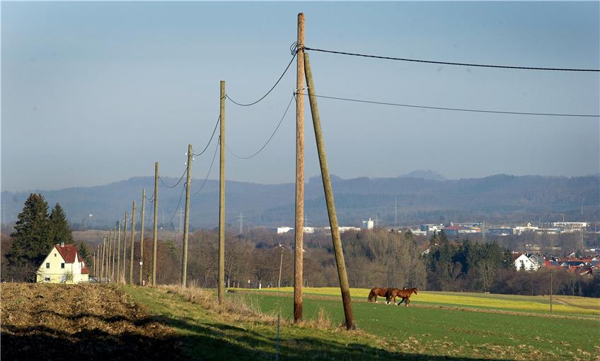 Die Stromleitung zum Waldhof ist seit Samstag wieder intakt. Tiere und Menschen kamen nicht zu Schaden.Bild: Franke