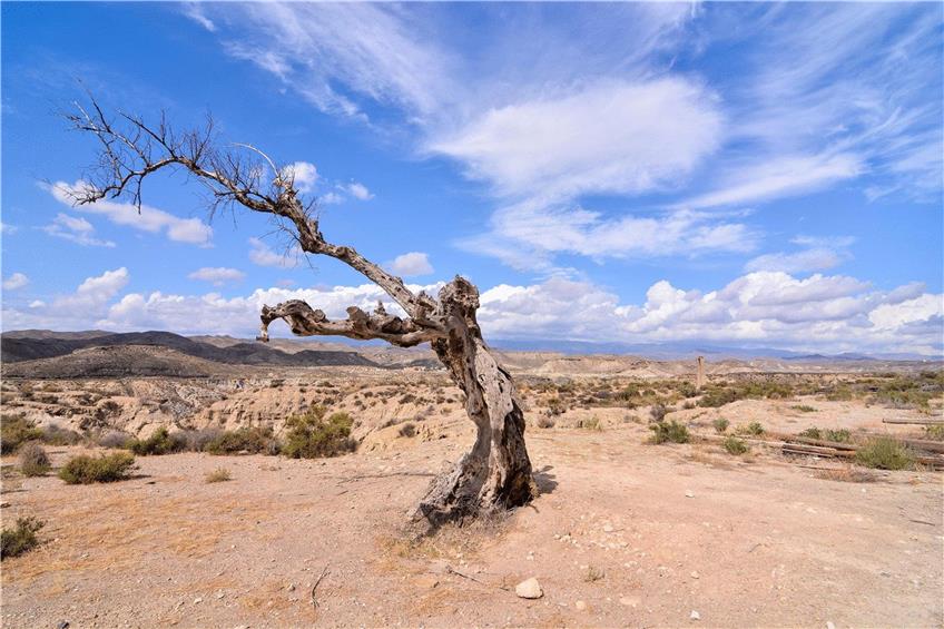 Die Wüste von Tabernas in Spanien: Im Zuge des Klimawandels könnten sich Wüsten weiter ausdehnen und neue entstehen, sagen Experten. Foto: © underworld/Shutterstock.com