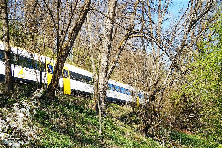 Die Zollernbahn zwischen Tübingen und Mössingen soll zweigleisig werden, auch im Hangwald oberhalb der Steinlach bei Dußlingen. Bild: Mario Beißwenger