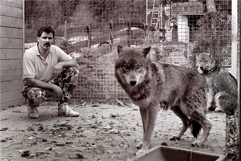 Die ersten Wölfe in jüngerer Zeit lebten auf Dußlinger Markung 1994 im Zwinger bei Thomas Fuhrer. Damals waren Timber und Leila noch im Gehege auf der Henryfarm beim Klärwerk. Jetzt könnte ein frei laufendes Exemplar unterwegs sein. Bild: Franke