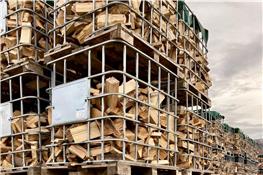 Brennholz aus dem Steinlach-Wiesaz-Revier: Entspannt zur Versteigerung gehen