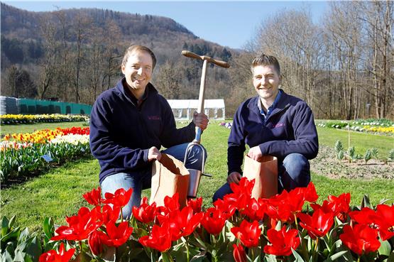 Die neue Generation der Samenhändler: Andreas und Markus Fetzer (von links) knien im Probefeld von Samen-Fetzer vor der Tulpensorte Madame Lefeber.Bild: Haas