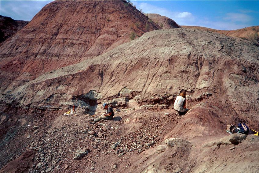 Die von den Wissenschaftlern liebevoll „Dino-Hügel“ genannte Grabungsstätte befindet sich im Junggar-Becken im Nordwesten Chinas, das auch Dsungarisches Becken genannt wird.Bild: Andreas Matzke