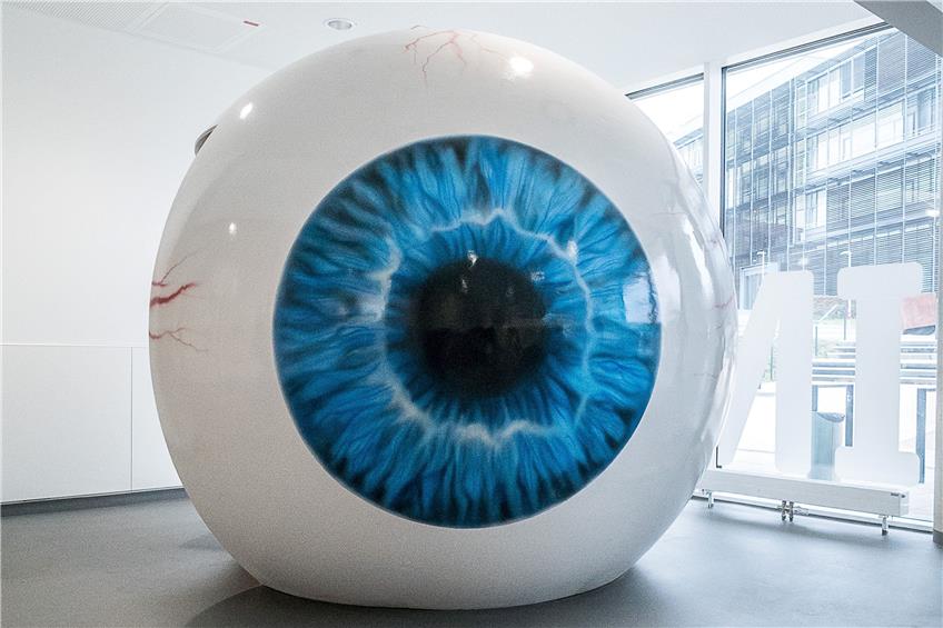 Dieses überdimensionale Auge steht in der Tübinger Augenklinik. Bild: Metz