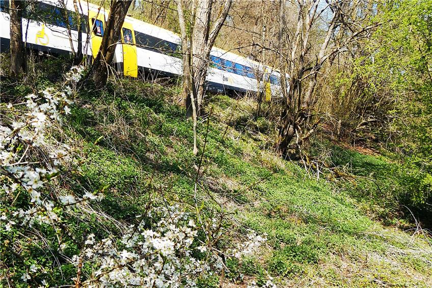 Durch die Idylle am Hangwald verläuft die Zollernbahn zwischen Tübingen und Dußlingen. Damit dort auch die Regional-Stadtbahn verkehren kann, braucht es ein zweites Gleis. Bild: Mario Beißwenger