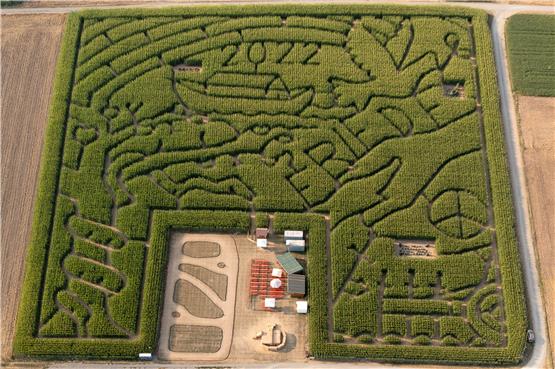 Ein Ausflugsziel für alle Daheimgebliebenen: das Maislabyrinth in Wolfenhausen. Bild: Christoph Rosenhagen