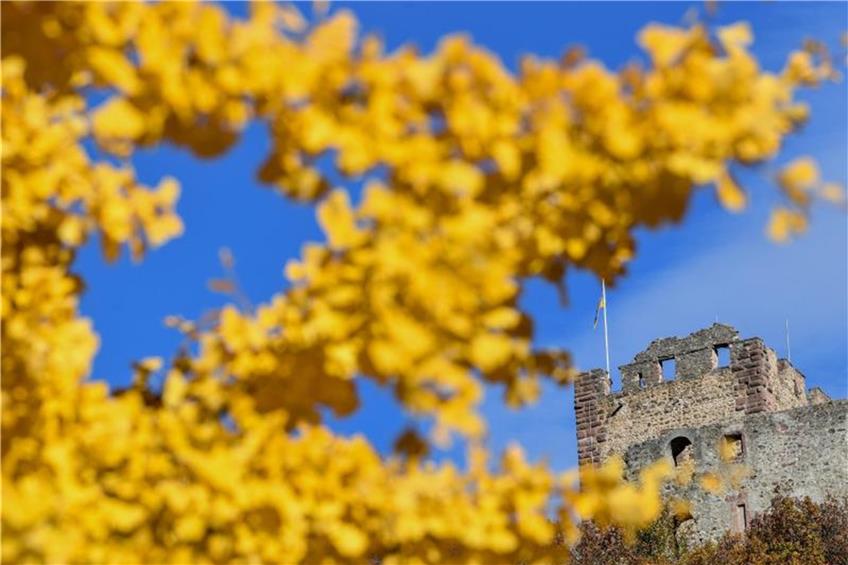 Ein Baum mit strahlend gelben Blättern steht vor der Kastelburg. Foto: Patrick Seeger/Archivbild