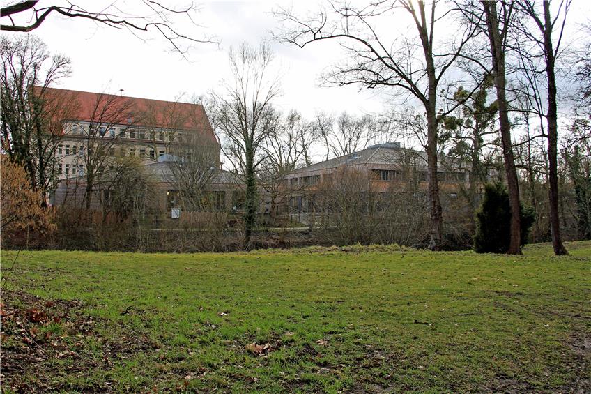 Ein Blick auf das Kinderhaus Lindenbrunnen samt Schule von der Neckarspitze aus. Archivbild: Philina Schütze
