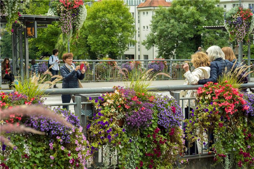 Ein Foto vor Tübingens opulenter Blumenpracht gehört dazu.Bild: Metz