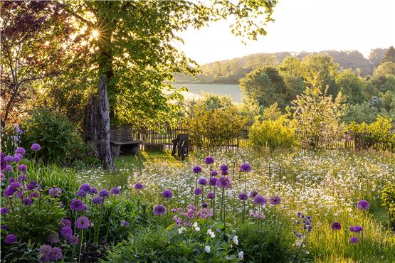 Ein Garten auf der Schwäbischen Alb – das Foto erhielt einen dritten Platz beim „International Garden Photographer of the Year“. Bilder: Manuela Göhner