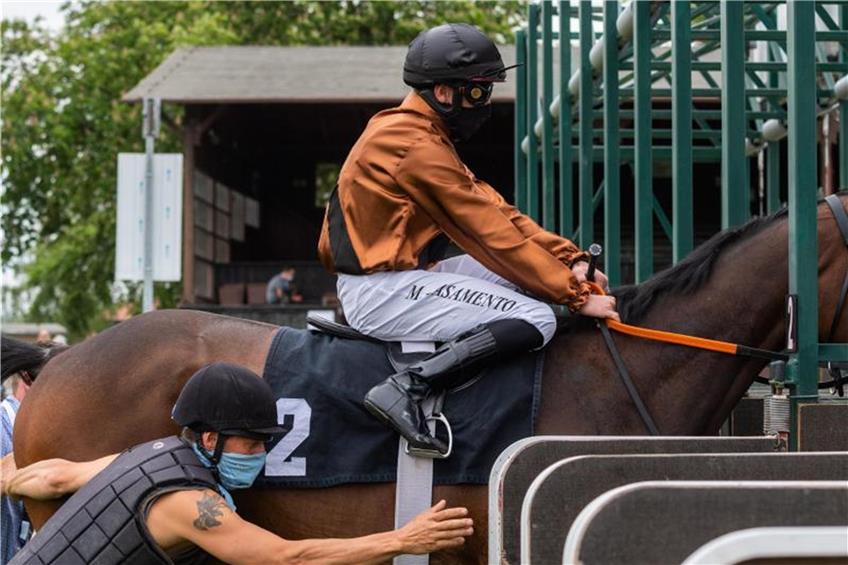 Ein Jockey wird vor einem Rennen auf seinem Pferd in die Startbox geführt. Foto: Robert Michael/dpa-Zentralbild/dpa/Symbolbild
