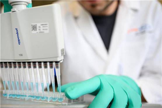 Ein Mann pipettiert in einem Labor des biopharmazeutischen Unternehmens Curevac eine blaue Flüssigkeit. Foto: Sebastian Gollnow/dpa/Illustration