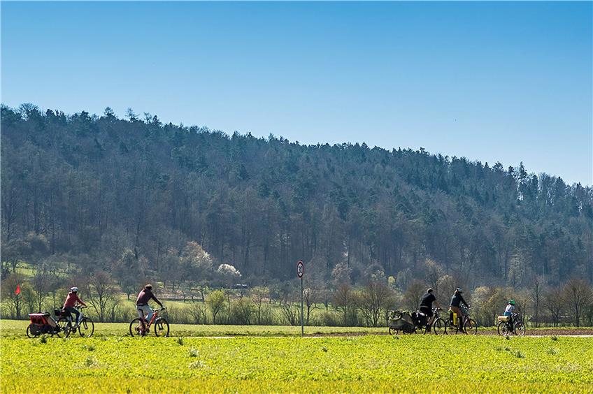Ein Radschnellweg durchs Neckartal in der „Hirschauer Variante“ könnte unter anderem Kiebitzen und Rebhühnern schaden, warnen Naturschützer. Archivbild: Ulrich Metz