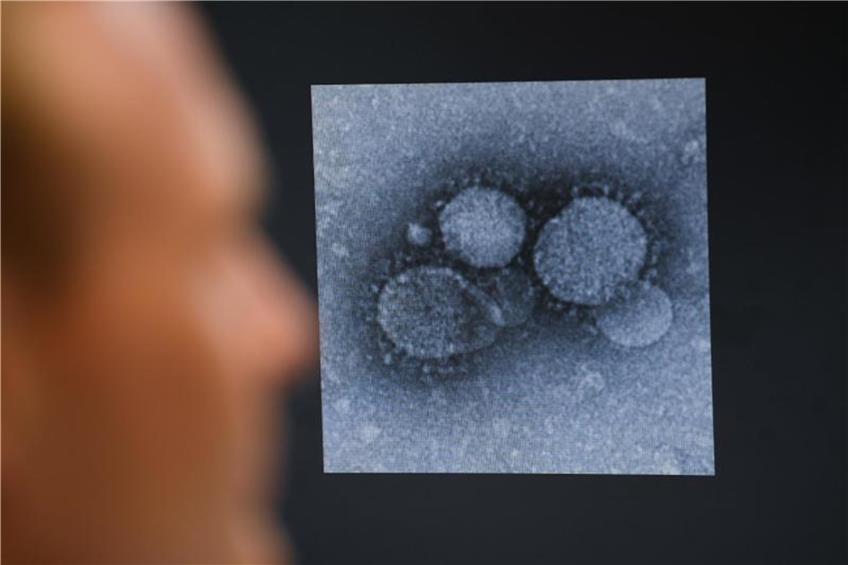 Ein Virologe betrachtet den MERS-Coronavirus. Foto: Arne Dedert/dpa/Archivbild
