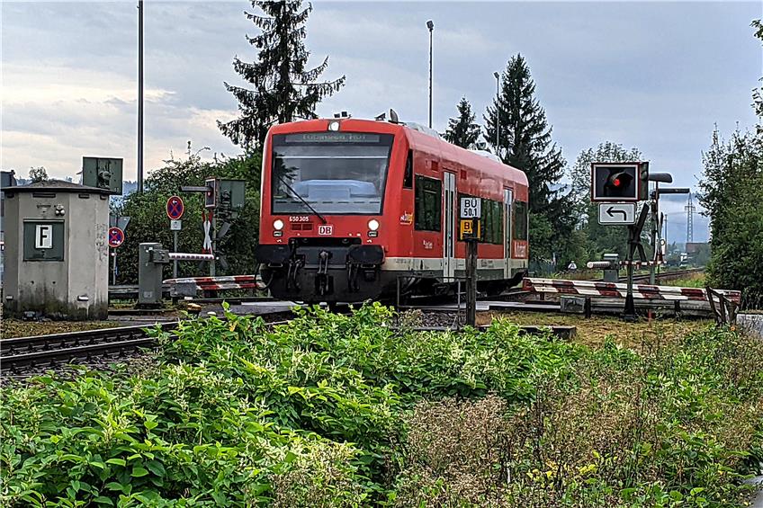 Ein Zug der Kulturbahn von Rottenburg nach Tübingen auf dem Bahnübergang beim Bahnbetriebswerk in Tübingen. Bild: Hans-Jörg Schweizer