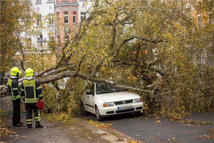 Ein umgestürzter Baum liegt in Chemnitz (Sachsen) über zwei Fahrzeugen. Bild: Henning Kaiser/dpa