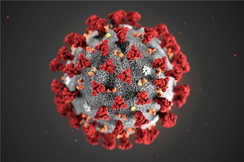 Eine von vielen möglichen Darstellung des Coronavirus. Foto: Uncredited/Centers for Disease Control and Prevention/AP/dpa
