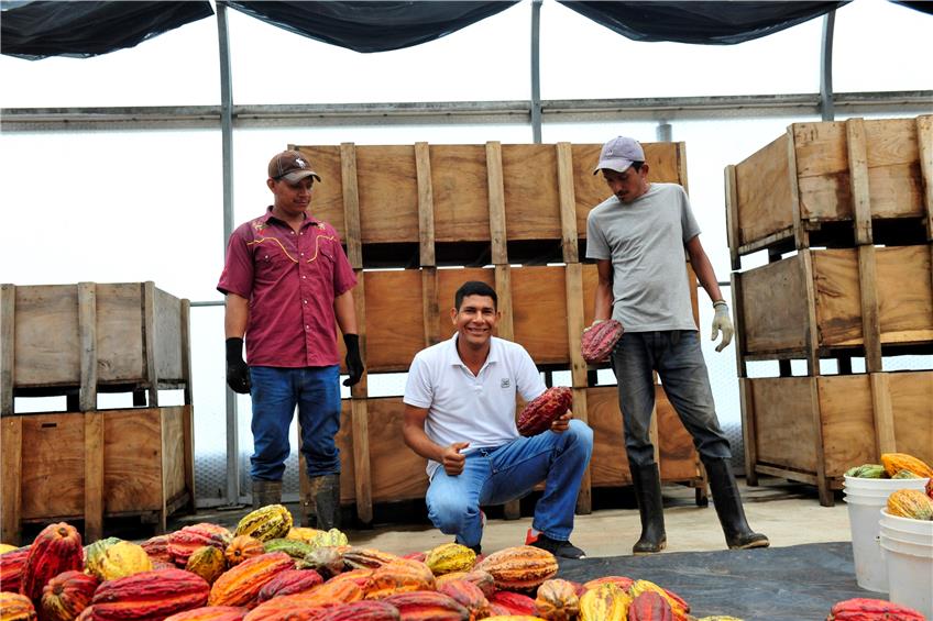 El Cacao, die Plantage von Ritter Sport in Nicaragua. Firmenbild