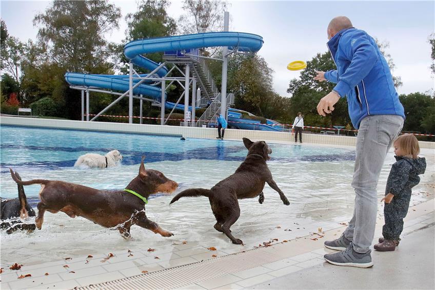 Erstmals gab es in Hundeschwimmen im Reutlinger Bad. Bild: Horst Haas