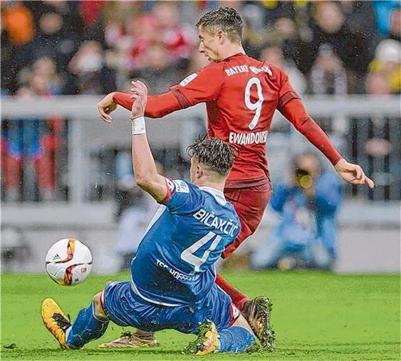 FC-Bayern-Torjäger Robert Lewandowski (rechts) setzt sich gegen den Hoffenheimer Ermin Bicakcic durch und erzielt sein zweites Tor. Foto: dpa