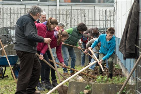 Freiwillige haben am Samstag geholfen, die triste Flüchtlingsunterkunft in Weilheim zu verschönern. Bild: Metz