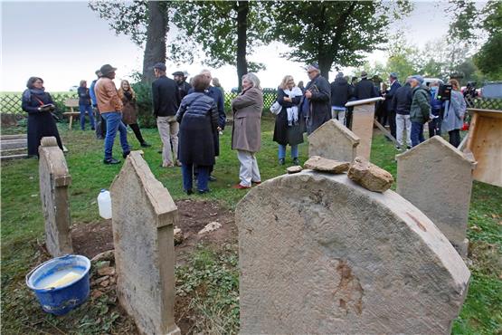 Geputzt sind die Grabsteine auf dem jüdischen Friedhof in Wankheim schon. Die eigentliche Sanierung kommt noch. Bild: Horst Haas