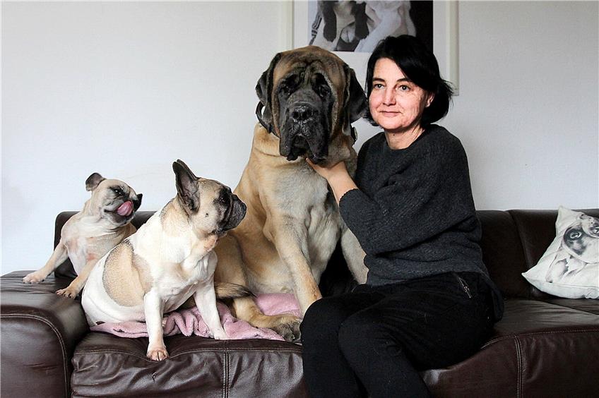 Gina Slotboom-Lemke mit ihren Hunden William, Eddie und Bubbley. Deren Tageskumpels dürfen derzeit nicht kommen. Bild: Hete Henning