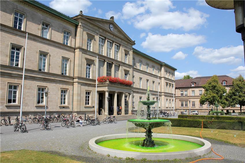 Grüne Farbe haben Unbekannte in die Brunnen vor der Neuen Aula in Tübingen gekippt. Bild: Mecke