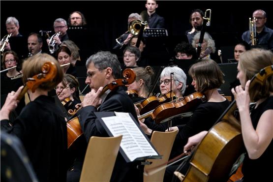 Hatten auf eine musikalische Skandinavien-Reise eingeladen: die Musikerinnen und Musiker des Sinfonea-Orchesters. Bild: Uli Rippmann