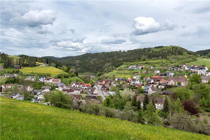 Idyllisch gelegen im Tal der Glatt zwischen Wiesenhängen: Blick auf die Ortschaft Leinstetten. Bild: Wolfgang Albers