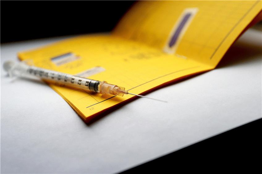 Impfausweis aus Papier: Er soll bald durch eine digitale Variante ergänzt werden. Foto: Karl-Josef Hildenbrand/dpa