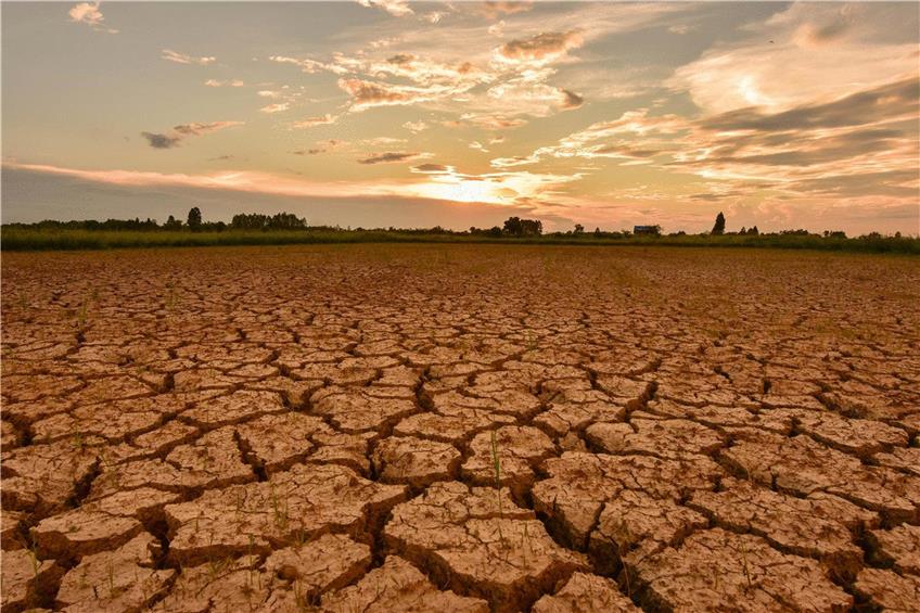 In vielen Regionen Deutschlands sind die Böden schon sehr trocken. Foto: ©neenawat khenyothaa/Shutterstock.com