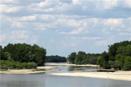 Inseln und Sandflächen prägen das Mündungsgebiet des Allier in die Loire in Zentralfrankreich. In dieser sich schnell ändernden Landschaft brüten andernorts selten gewordene Vögel, die Sandbänke bieten Raum für Trockenarten wie etwa den Mauerpfeffer. Privatbild