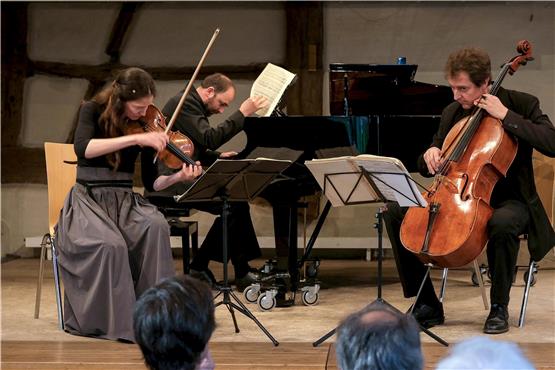 Intensiv ins Spiel vertieft sind Julia Galic (Violine), Gregor Pfisterer (Cello) und Michael David Dan (Klavier) Bild: Uli Rippmann