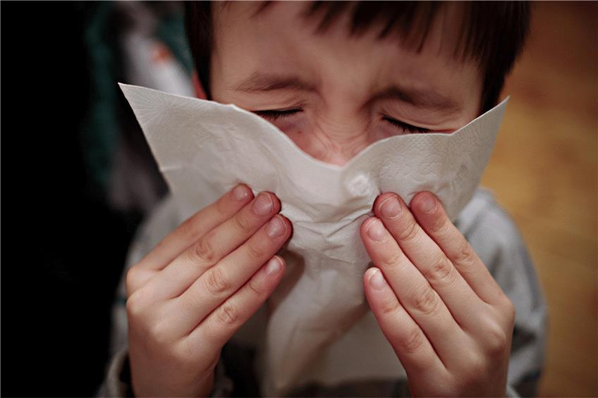 Kinder müssen gewisse Infekte durchmachen. Foto: Nicolas Armer/dpa