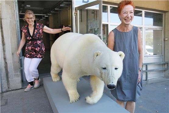 Kulturamtsleiterin Anke Bächtiger (links im Bild) und Museumsleiterin Barbara Karwatzki haben gut lachen: Der Eisbär, eines der größeren Stücke in der naturkundlichen Sammlung der Stadt, ist gut am neuen Lager angekommen. Bilder: Horst Haas