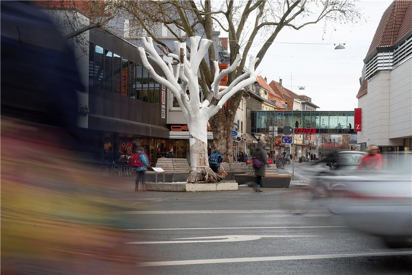 Kurt Hohndorfs Baum am Zinsereck kommt demnächst weg, heißt es von Seiten der Stadt – die auch die Transportkosten zahlt, wie Kulturamtsleiterin Dagmar Waizenegger mitteilt. Archivbild: Metz