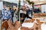Lassad Khardani bietet beim Nikolausmarkt in der Königstraße handgefertigte Olivenholzschalen- und Bretter an. Das Olivenholz stammt aus Marokko. Der Tag beginnt früh für ihn – morgens trägt er das TAGBLATT aus. Bild: Klaus Franke