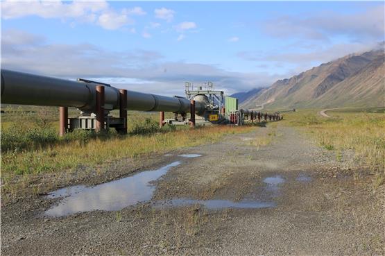Lebensader der Wirtschaft: Die Trans-Alaska-Pipeline durchschneidet die Landschaft auf einer Strecke von fast 1300 Kilometern von Nord nach Süd, schlängelt sich durch Wälder, über Ebenen und durch eine Gebirgskette. Fotos (2): David Schmidt