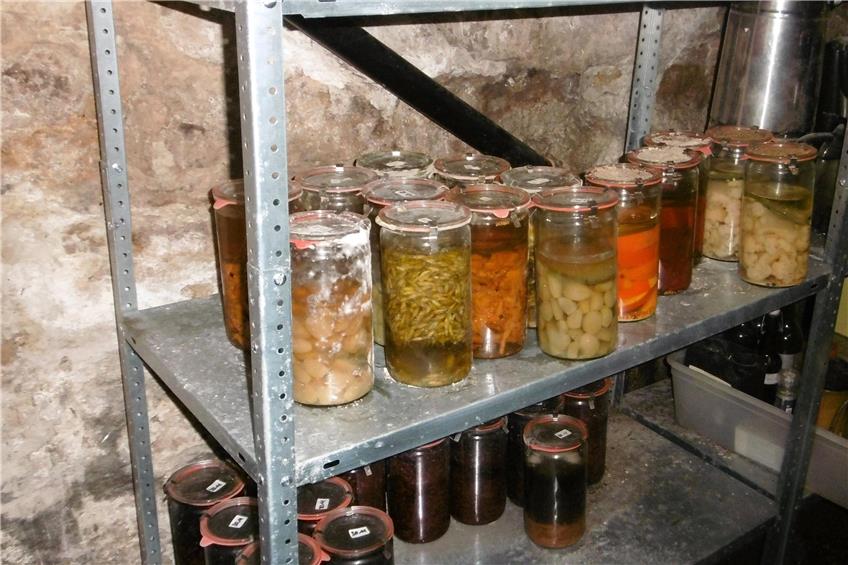 Delicacies in store: Preserves with mold cultures are waiting in this storage cellar.  Image: Tübingen District Office