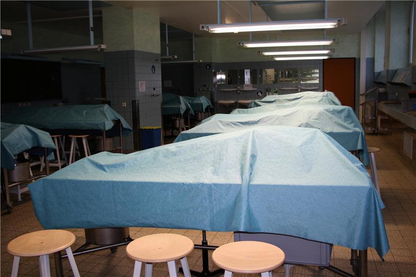 Leichen liegen für den Präparationskurs bereit. Foto: dpa