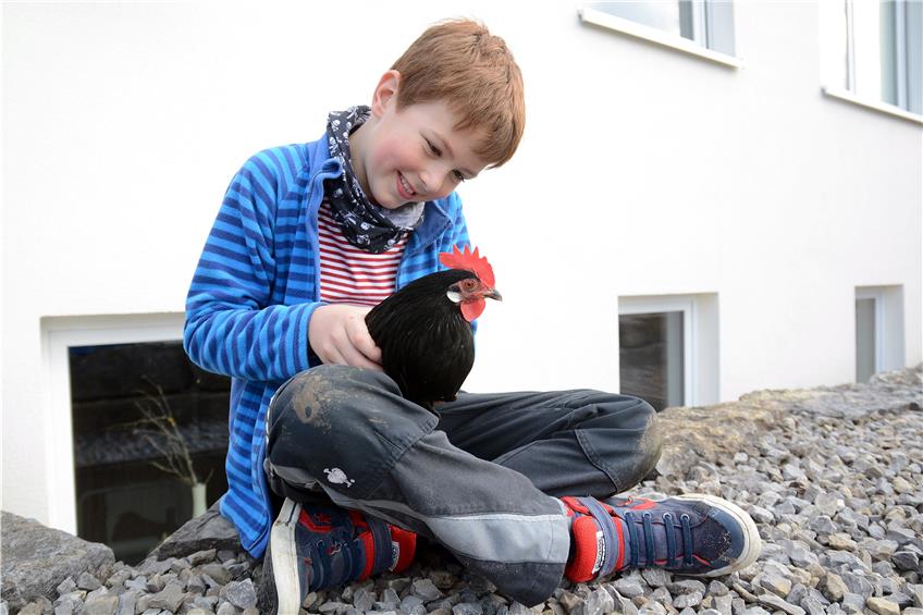 Luis Föll mit dem zugelaufenen Huhn Paula Rocky, das demnächst eine Unterrichtseinheit in der Langgassschule bereichern wird. Bild: Rippmann