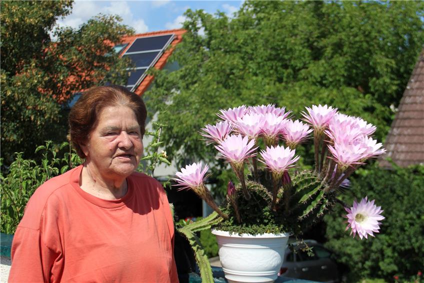 Maria Griesinger mit ihrem blühenden Kaktus. Rechts neben ihr ragt ein Trieb der „Königin der Nacht“ hervor. Eine andere Kaktee, mit der sie vor fast sechs Jahren schon einmal im TAGBLATT war. Bild: Strigl