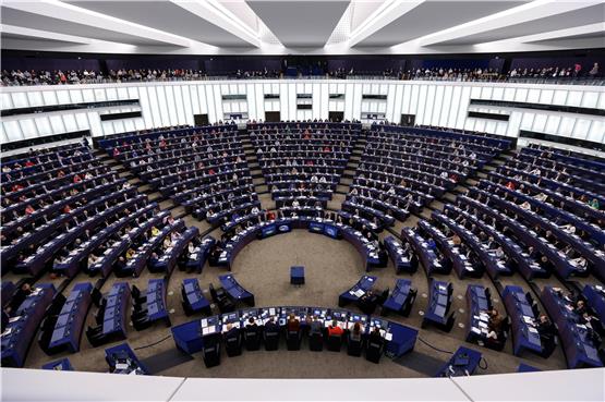 Mitglieder des Europäischen Parlaments stimmen in Straßburg über ein Gesetz ab. Foto: Jean-Francois Badias/AP/dpa