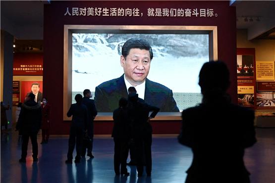 Mittlerweile bremst die Staatsspitze – hier Präsident Xi Jinping – Investitionen.