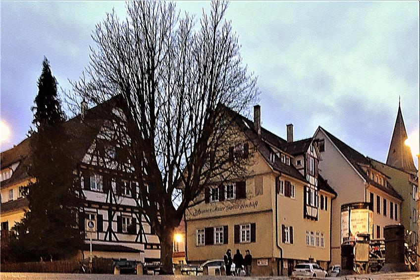 NACH EINEM REGEN findet Ulrich Müller ausreichend Pfützen-Motive, wie hier in der Tübinger Altstadt beim Nonnenhaus.