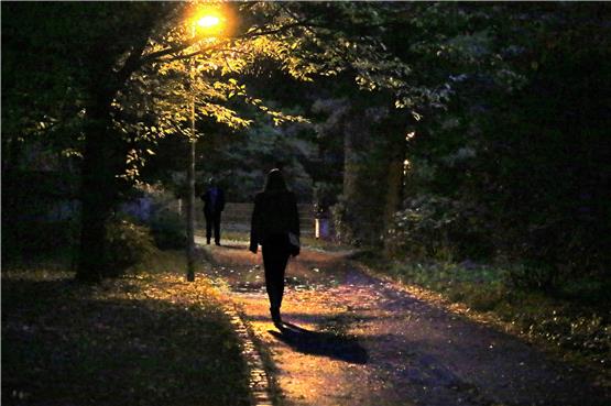 Nachts alleine unterwegs im Alten Botanischen Garten: In der Situation fühlen sich nicht nur Frauen unwohl. Bild: Sommer