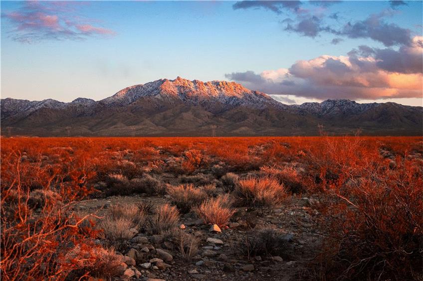 Nevada: Tief in der Mojave-Wüste liegt die „Area 51“ (nicht im Bild). Foto: Luca Scherraus/Privat